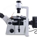 DSY5000X研究级倒置荧光显微镜