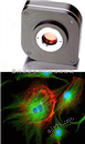 荧光科学级冷CCD相机