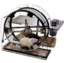 动物实验自主活动转轮系统
