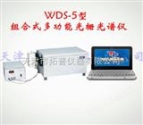 WDS-5型组合式多功能光栅光谱仪WDS-5型