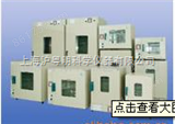 DHG-9140A上海齐欣电热干燥箱/索普DHG-9140A多功能干燥箱/贺德恒温干燥箱