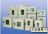 上海齐欣电热干燥箱/索普DHG-9140A多功能干燥箱/贺德恒温干燥箱